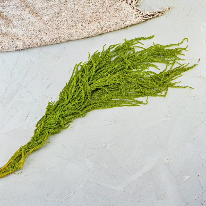 Szarlat Lt Green Royal 2.png