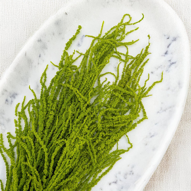 Szarlat Lt Green Royal 3.png