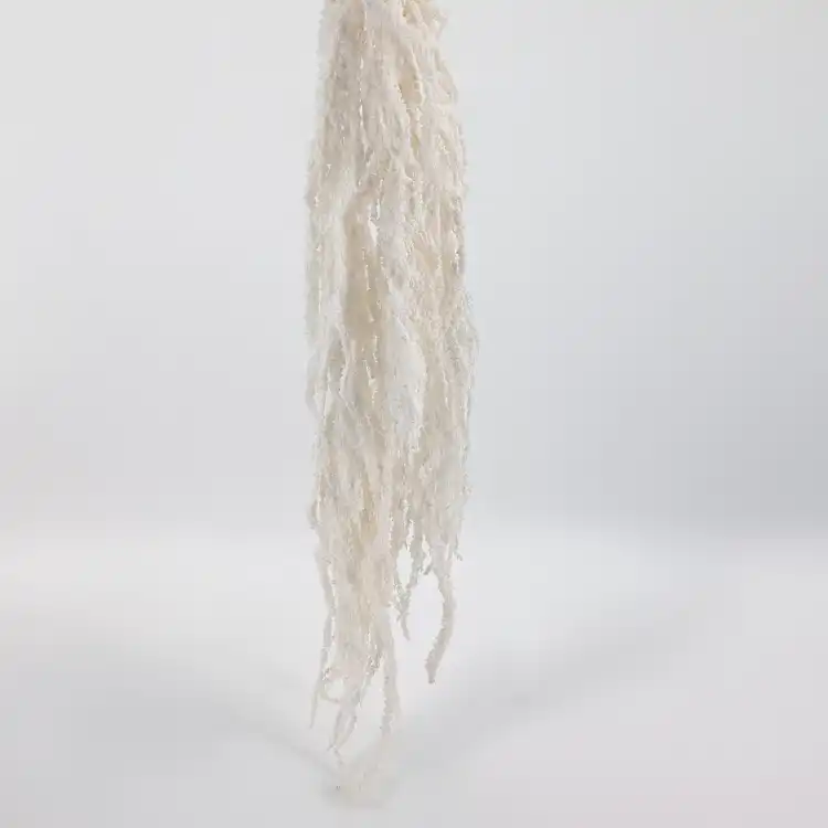 Amaranthus Bleached Royal 06.png