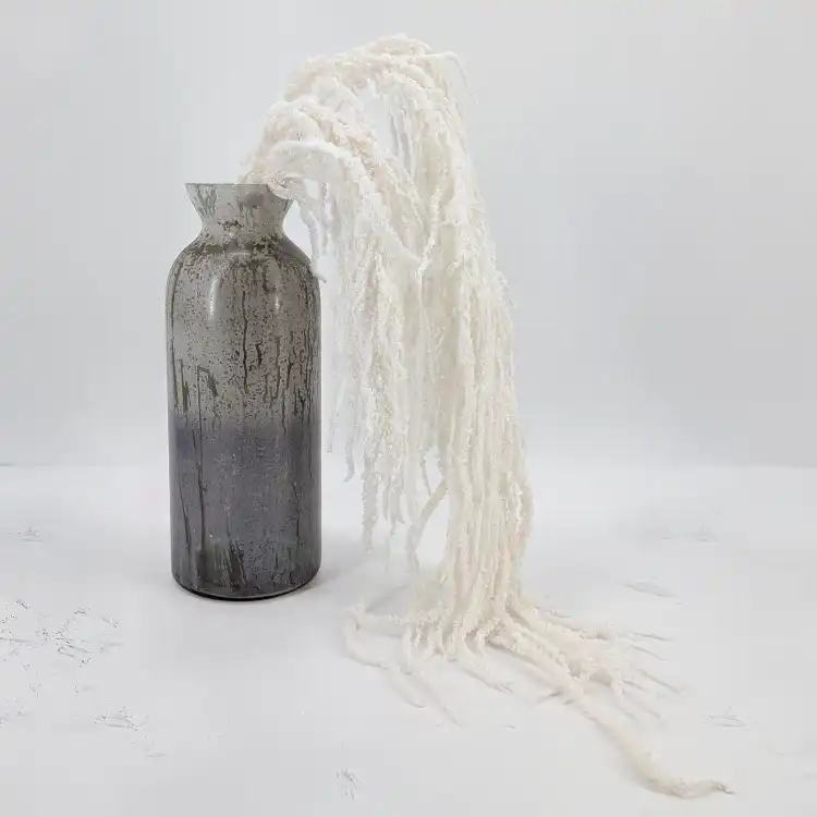 Amaranthus Bleached Royal 05.png