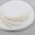 Amaranthus Bleached Royal 02.png