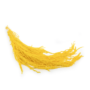Preserved Amaranthus - Royal – Yellow