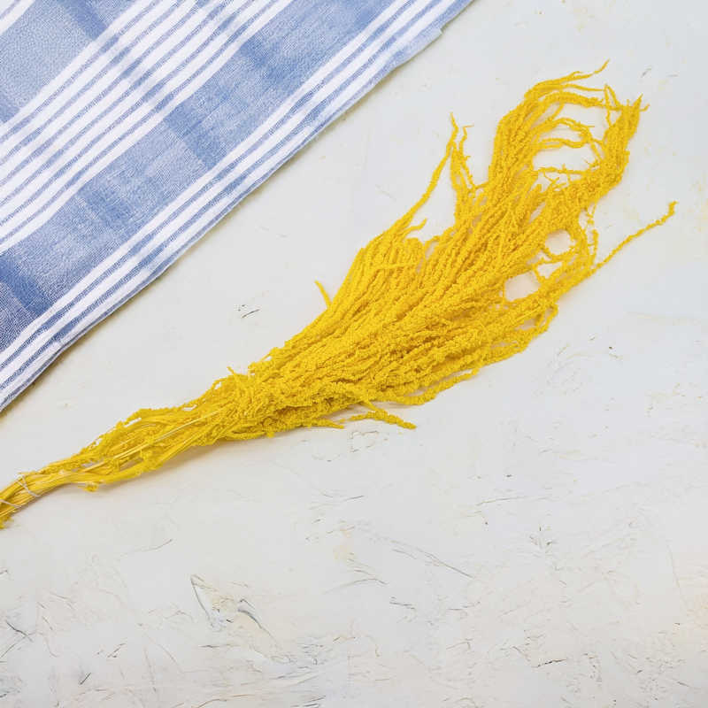 Szarlat zolty Royal 2.png