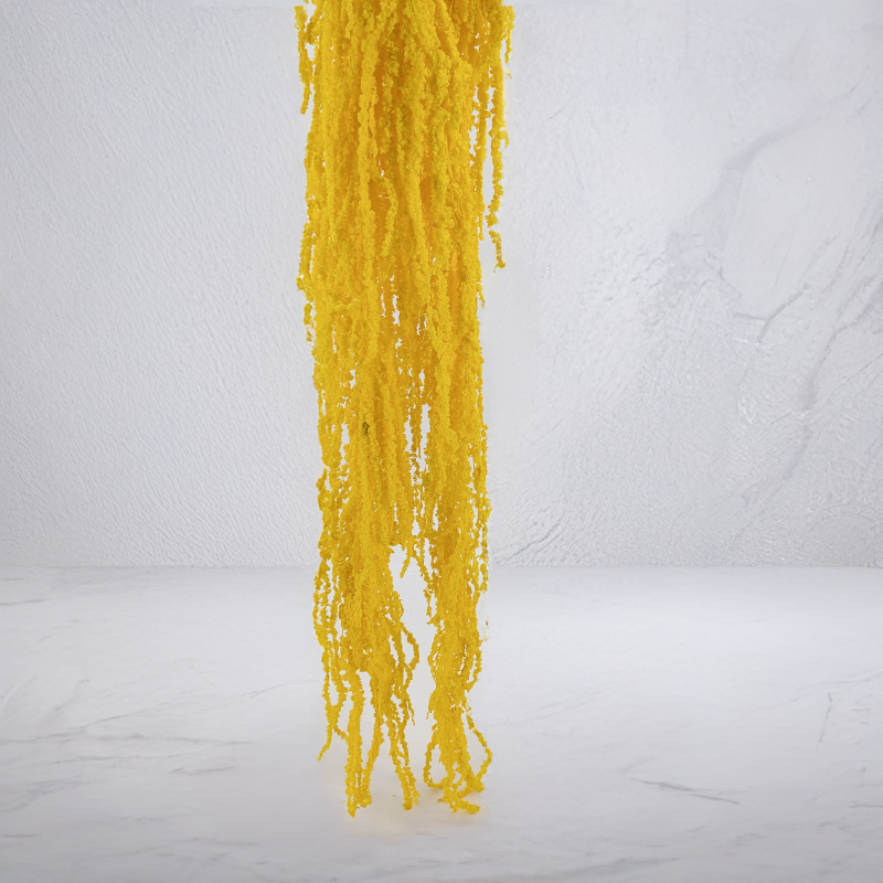 Szarlat zolty Royal 4.png