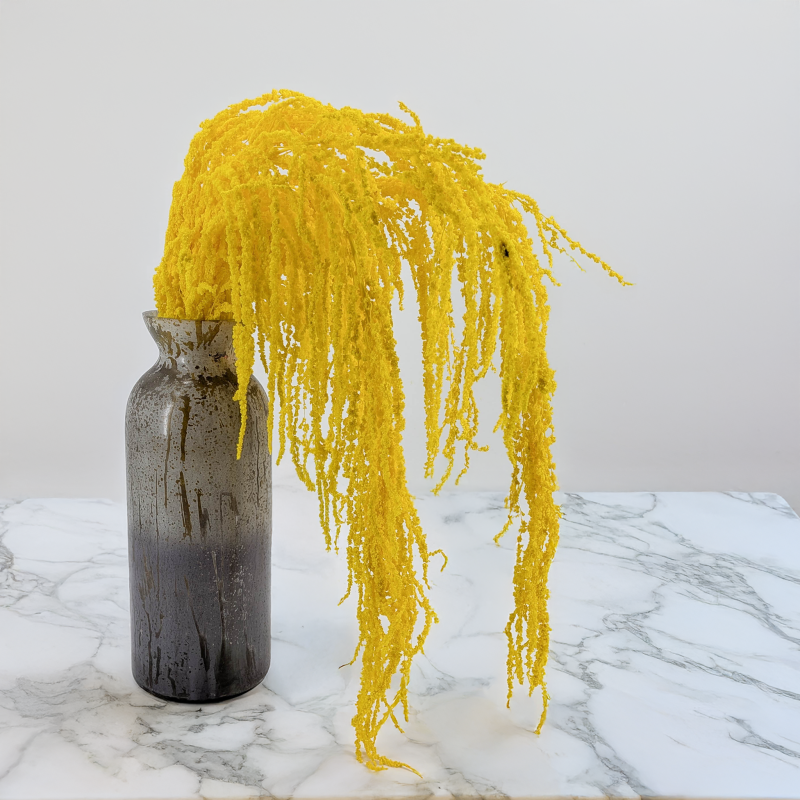 Szarlat zolty Royal 5.png