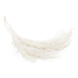 Preserved Amaranthus - Royal – Bleached