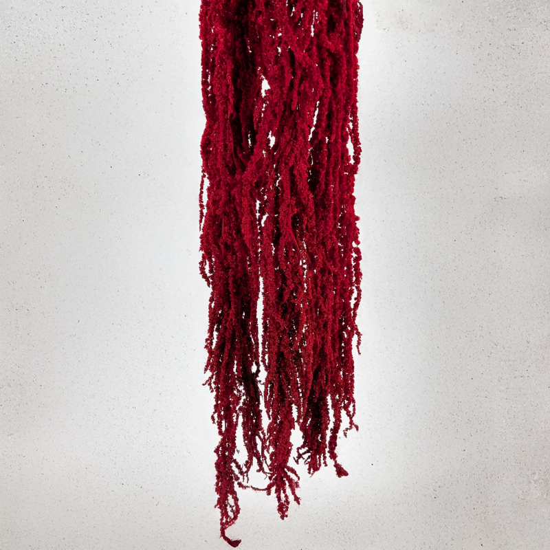 Szarlat red Royal 4.png