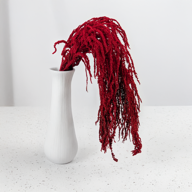 Szarlat red Royal 5.png