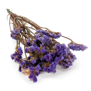 Preserved  Statice - (Limonium sinuatum) - Purple