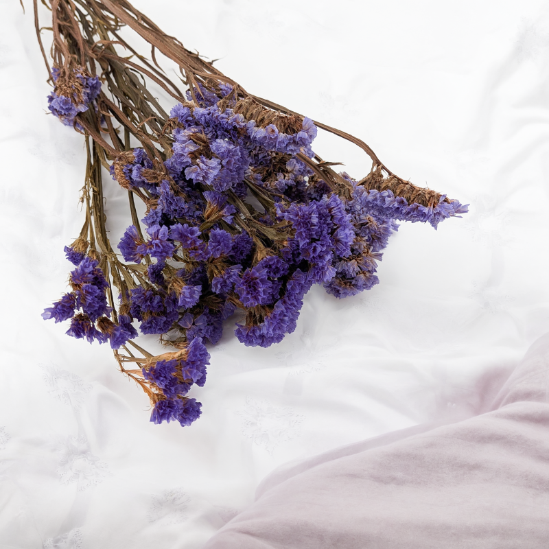 Zatrwian Fioletowy IT stabilizowany 6.png