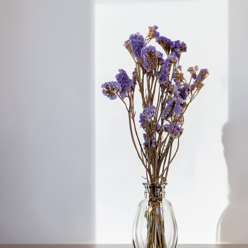 Zatrwian Fioletowy IT stabilizowany 5.png