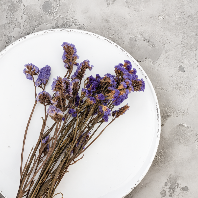 Zatrwian Fioletowy IT stabilizowany 4.png