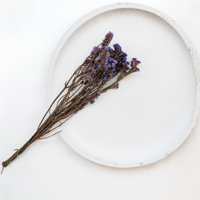 Zatrwian Fioletowy IT stabilizowany 1.png