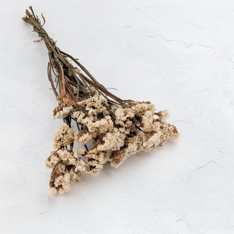 Zatrwian stabilizowany It bialy 1.png