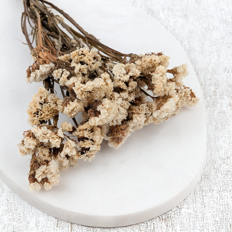 Zatrwian stabilizowany It bialy 2.png