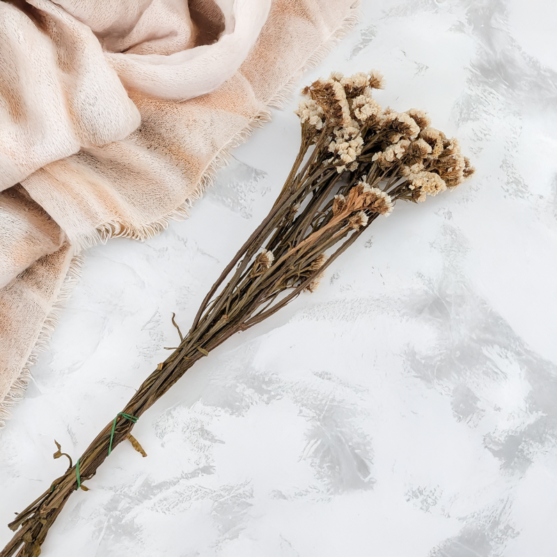 Zatrwian stabilizowany It bialy 3.png