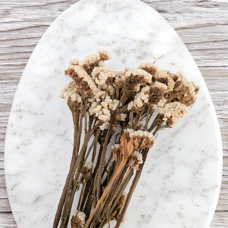 Zatrwian stabilizowany It bialy 4.png