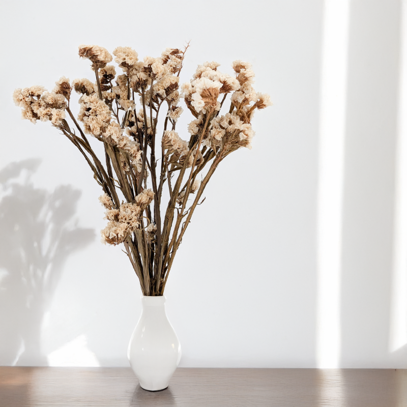 Zatrwian stabilizowany It bialy 6.png