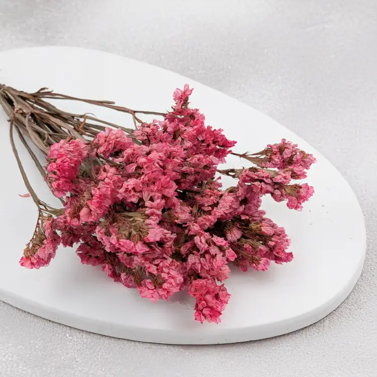 Zatrwian stabilizowany It różowy 2.png