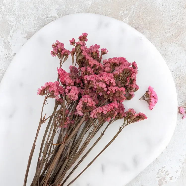 Zatrwian stabilizowany It różowy 4.png