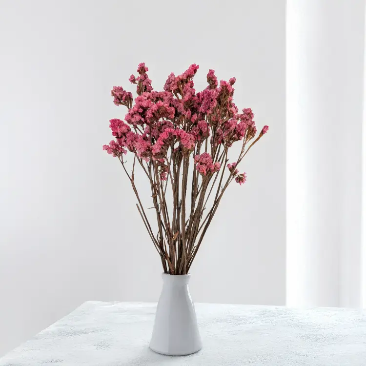 Zatrwian stabilizowany It różowy 5.png