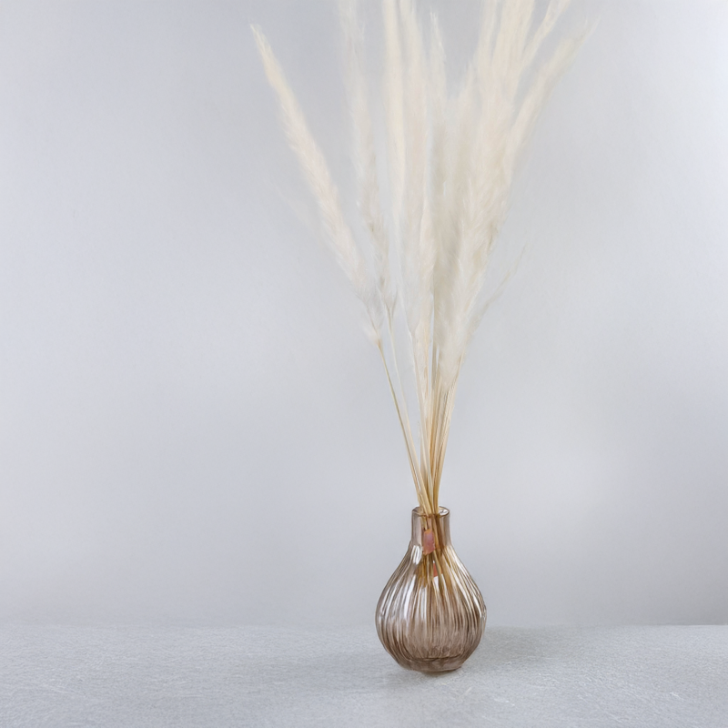 Mini pampas ch 3.png