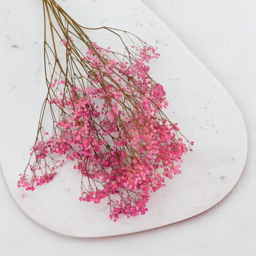 Gips pastel róż 2.png