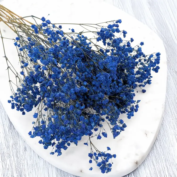 Gips pastel niebieski 2.png