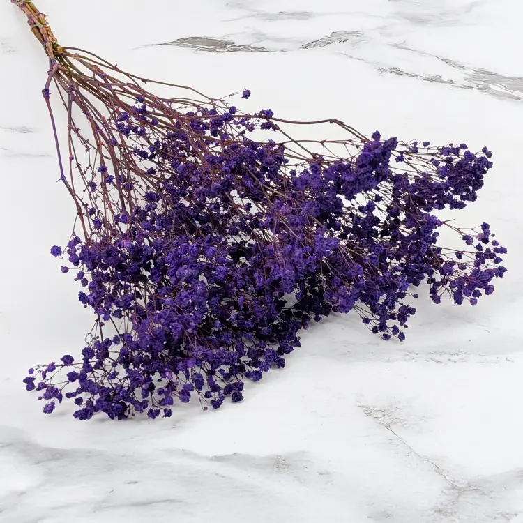 Gips pastel fiolet 1.png