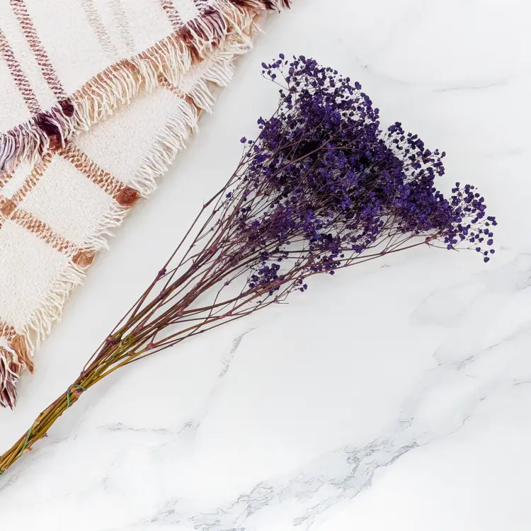 Gips pastel fiolet 3.png