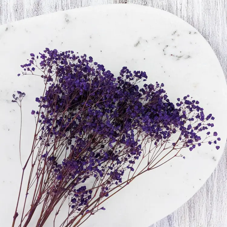 Gips pastel fiolet 4.png