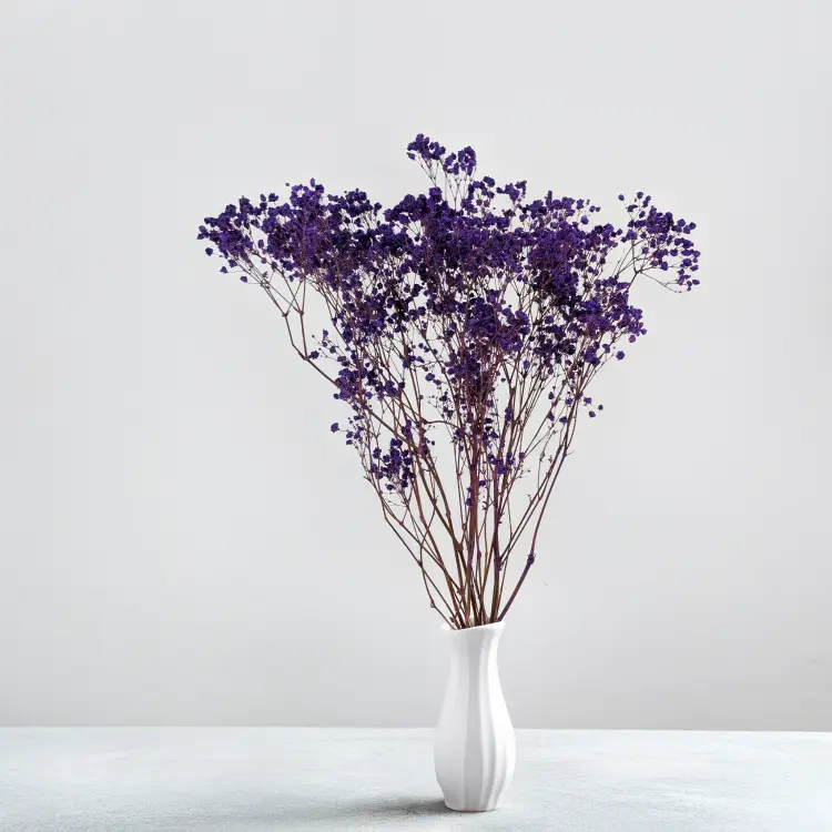 Gips pastel fiolet 5.png