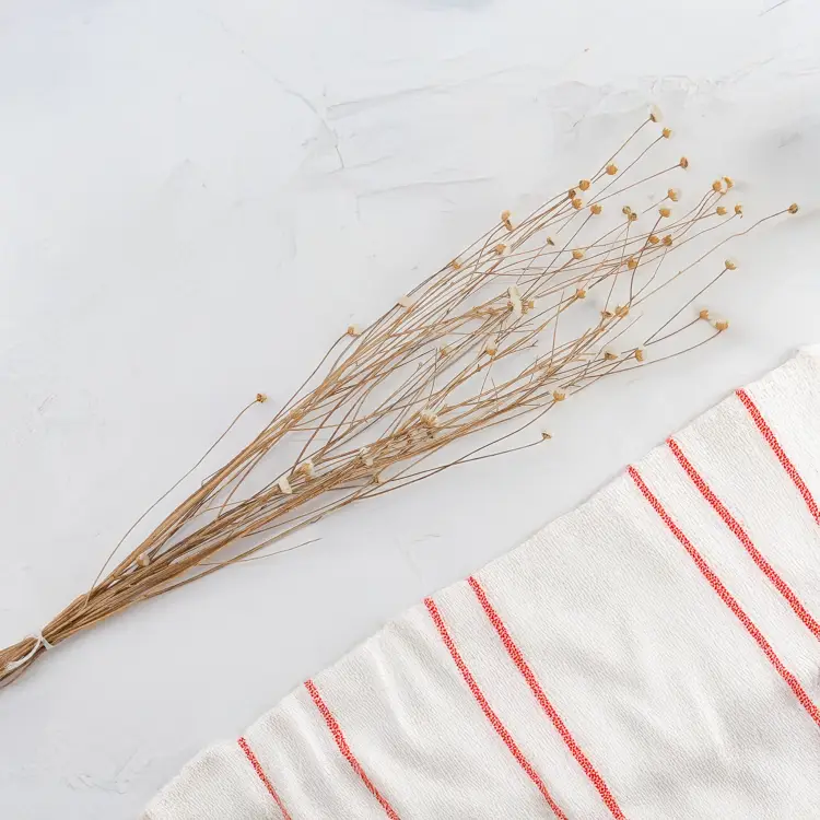 Chaber naturalny 2.png