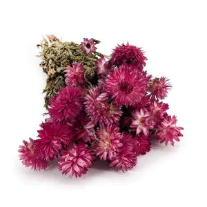 Dried Immortelle Granvia® - (Helichrysum Granvia®) - Pink