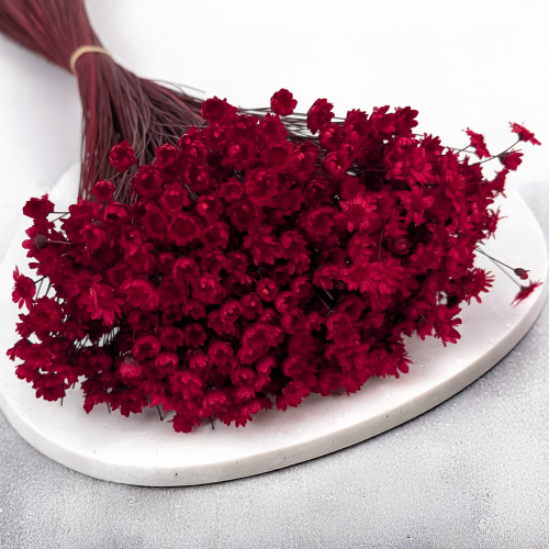 Glixia czerwona 2.png