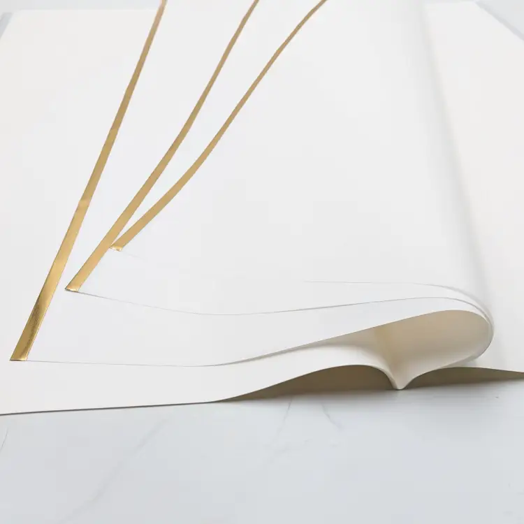 P-HXQ001GD 011 111 white 4.png