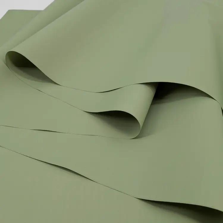 5773 Mint Ginger 3.png