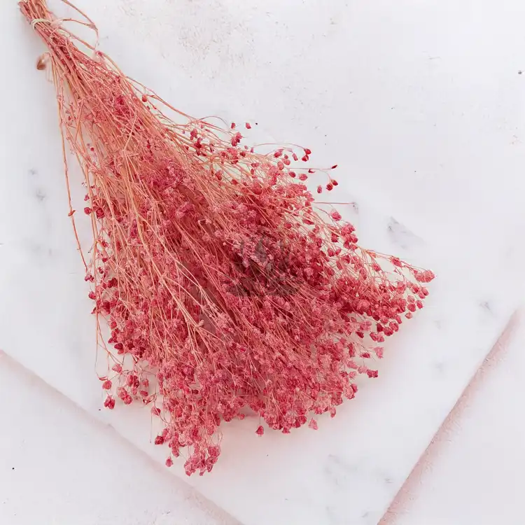 gips royal raspberry 1.png
