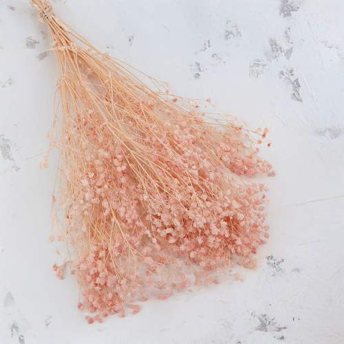 Gips royal Soft Pink 1.png