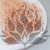 Gips royal Soft Pink 2.png