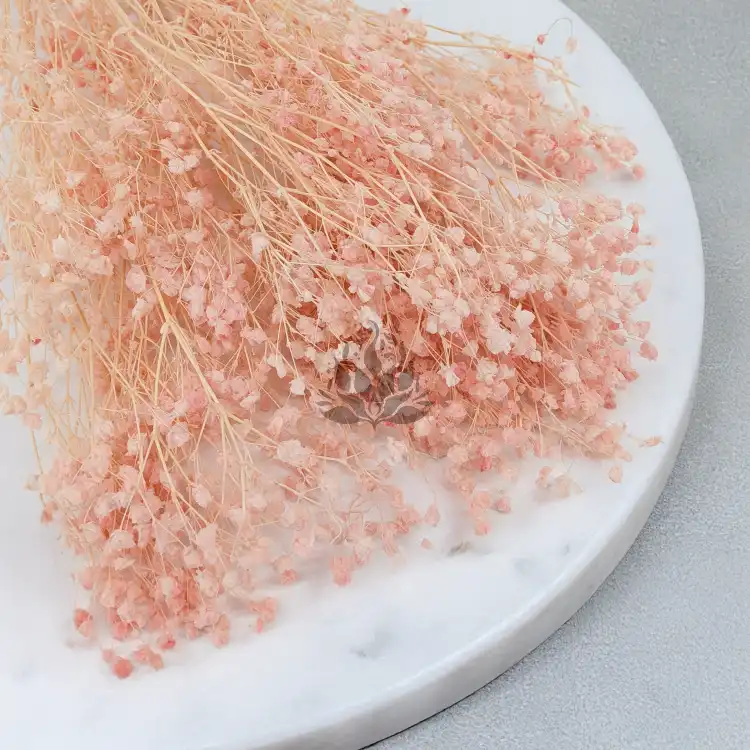 Gips royal Soft Pink 2.png