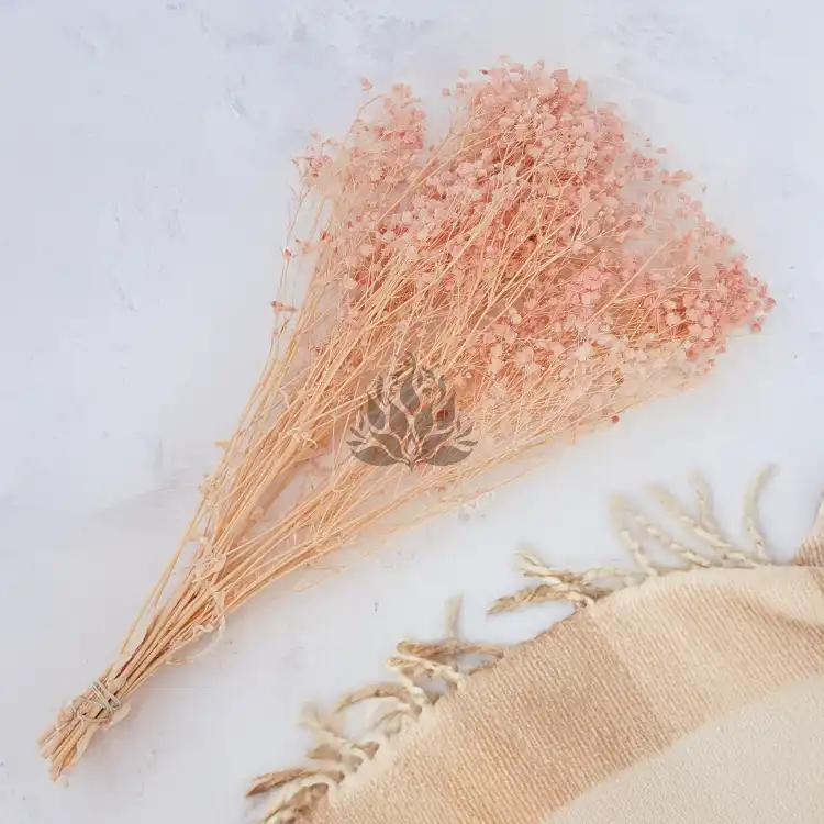 Gips royal Soft Pink 3.png