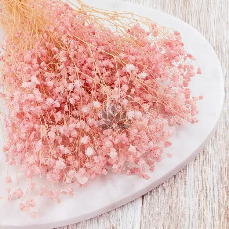 gips royal baby pink 2.png