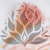 gips royal baby pink 3.png