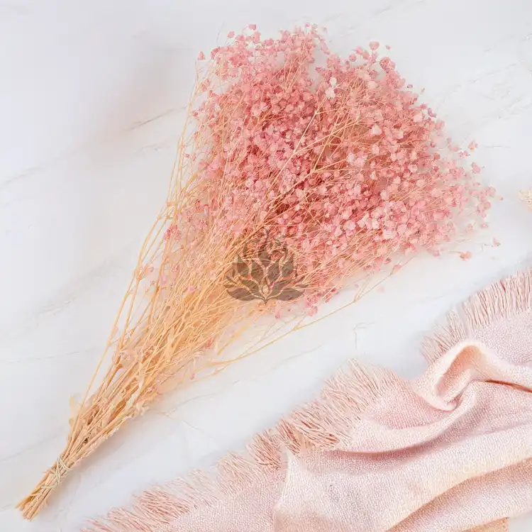 gips royal baby pink 3.png