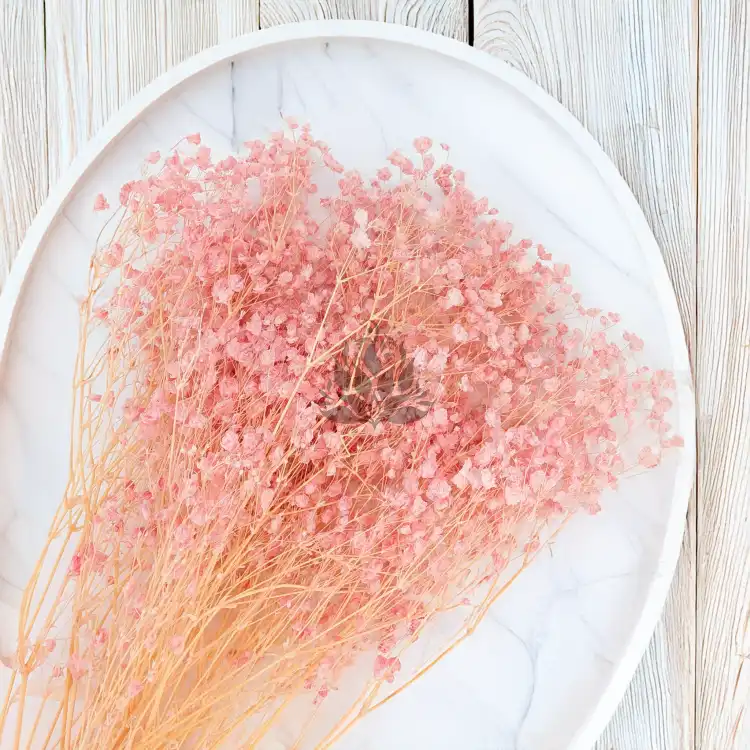 gips royal baby pink 4.png