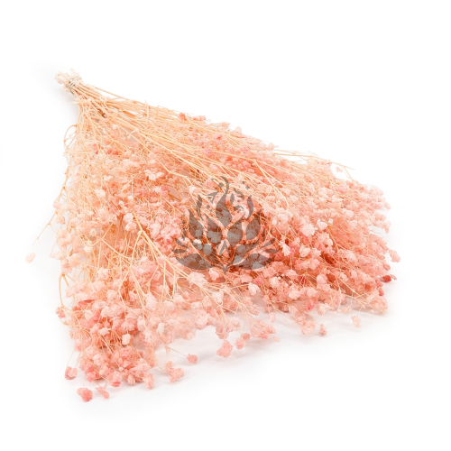 Gips royal Soft Pink 00.png
