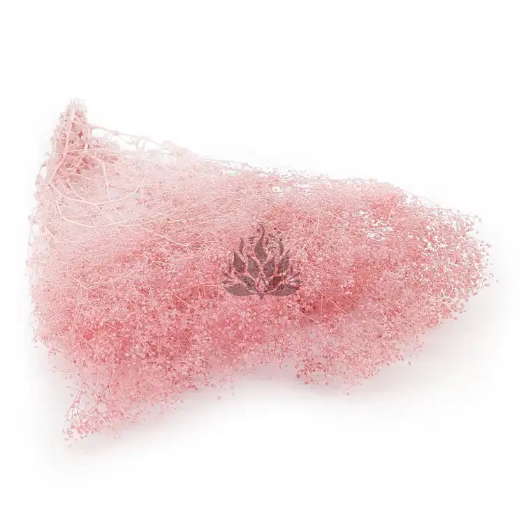 Gips Mini Różowa.png