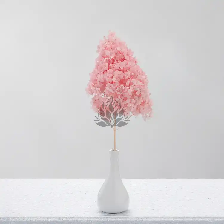 Hortensja Conical soft pink 4.png