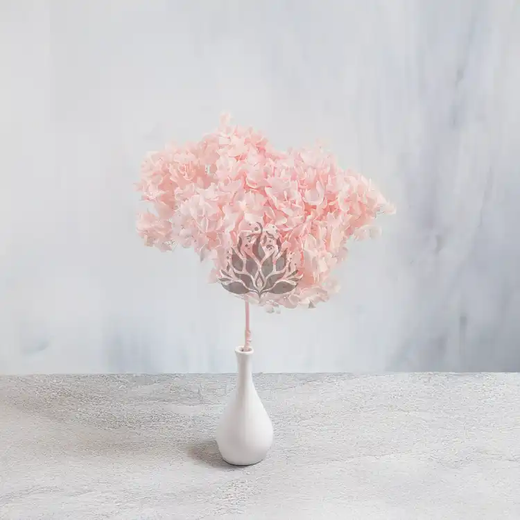 Hortensja Royal Powder Pink 4.png